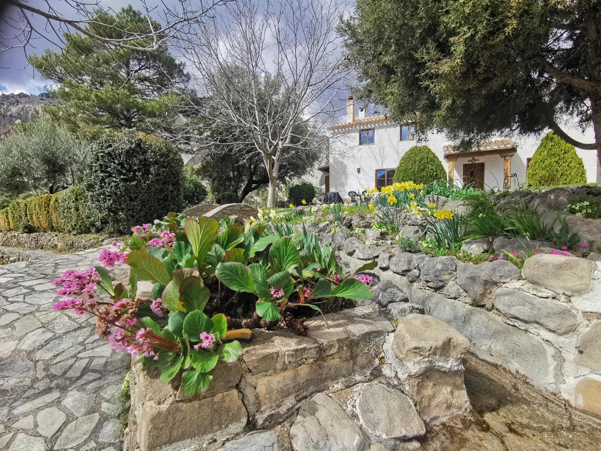Saluda Alta Guest House Castril Exterior photo