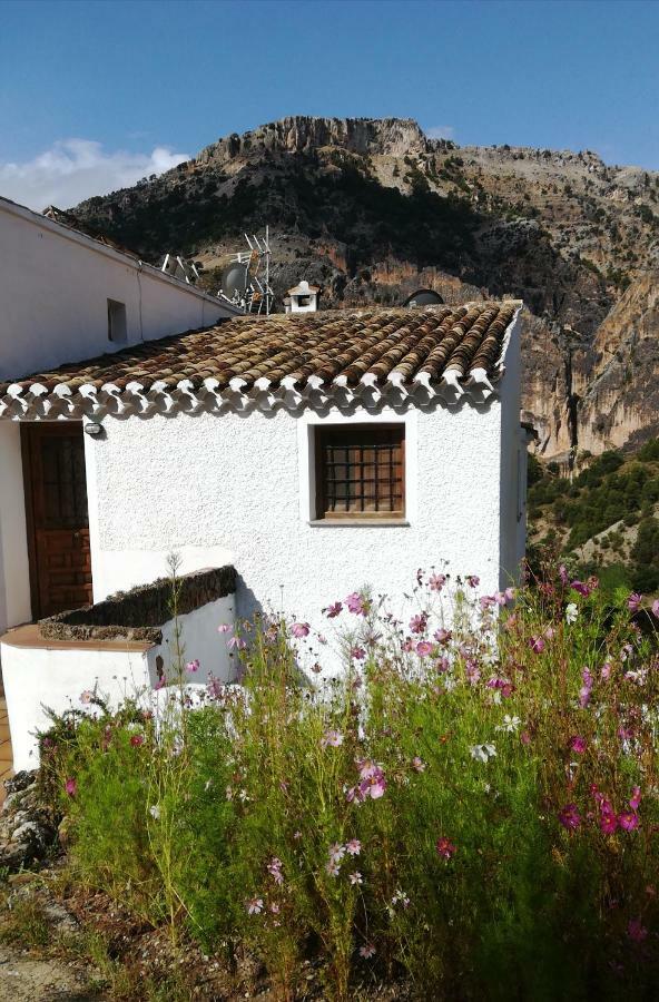 Saluda Alta Guest House Castril Exterior photo